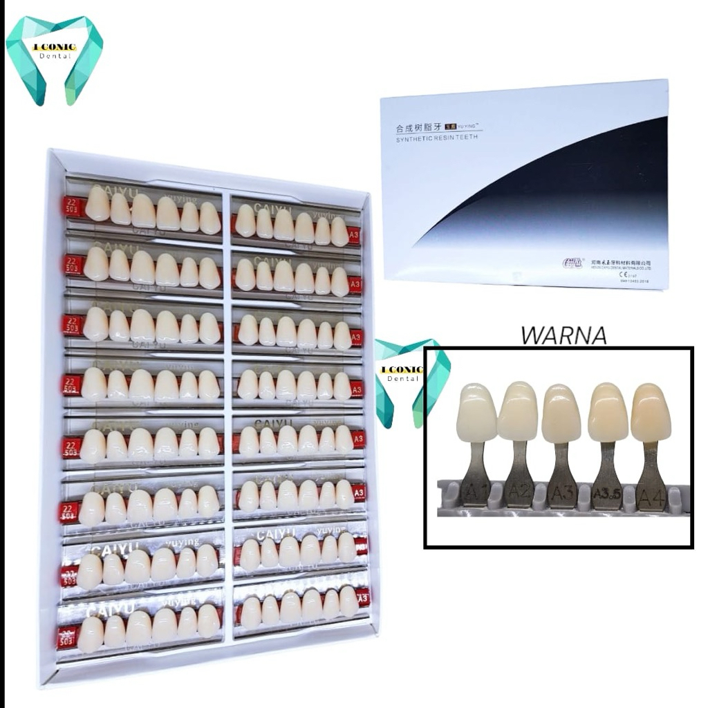 Gigi Palsu Caiyu Anterior Depan Atas Harga Perbaris Ecer