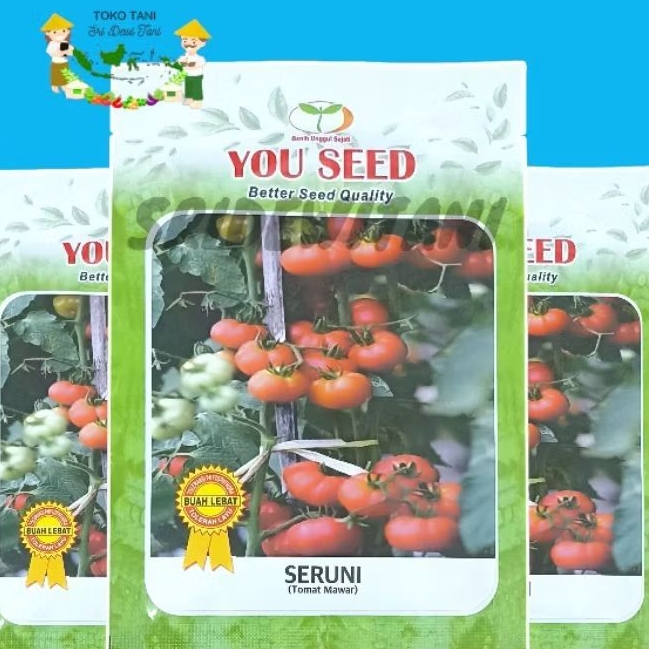 BIBIT TOMAT SAYUR MAWAR TAHAN VIRUS SERUNI ISI 5 GRAM (1750BUTIR) YOU SEED Setara Benih GAMARA Panah