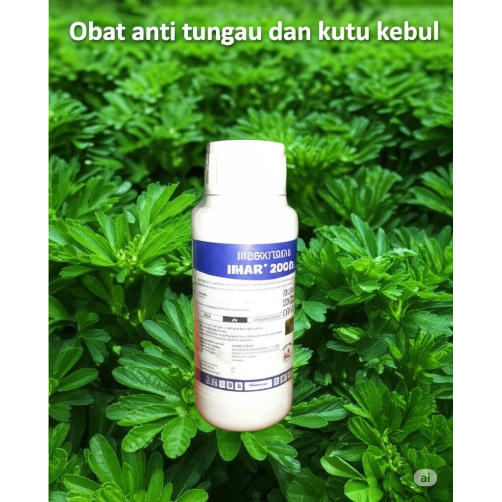 Obat anti keriting daun pada cabe Imar 200 SL