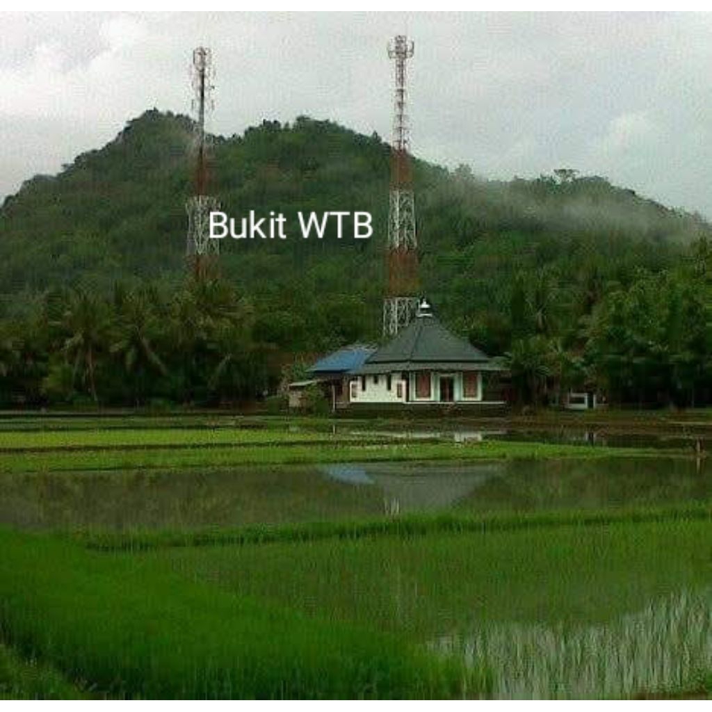 

kacang benguk khas sawangan pagerijo 1kilo