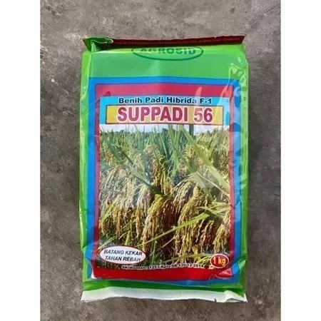 

Hot Sale!, Bibit Benih Padi Hibrida F1 Suppadi 56 1Kg
