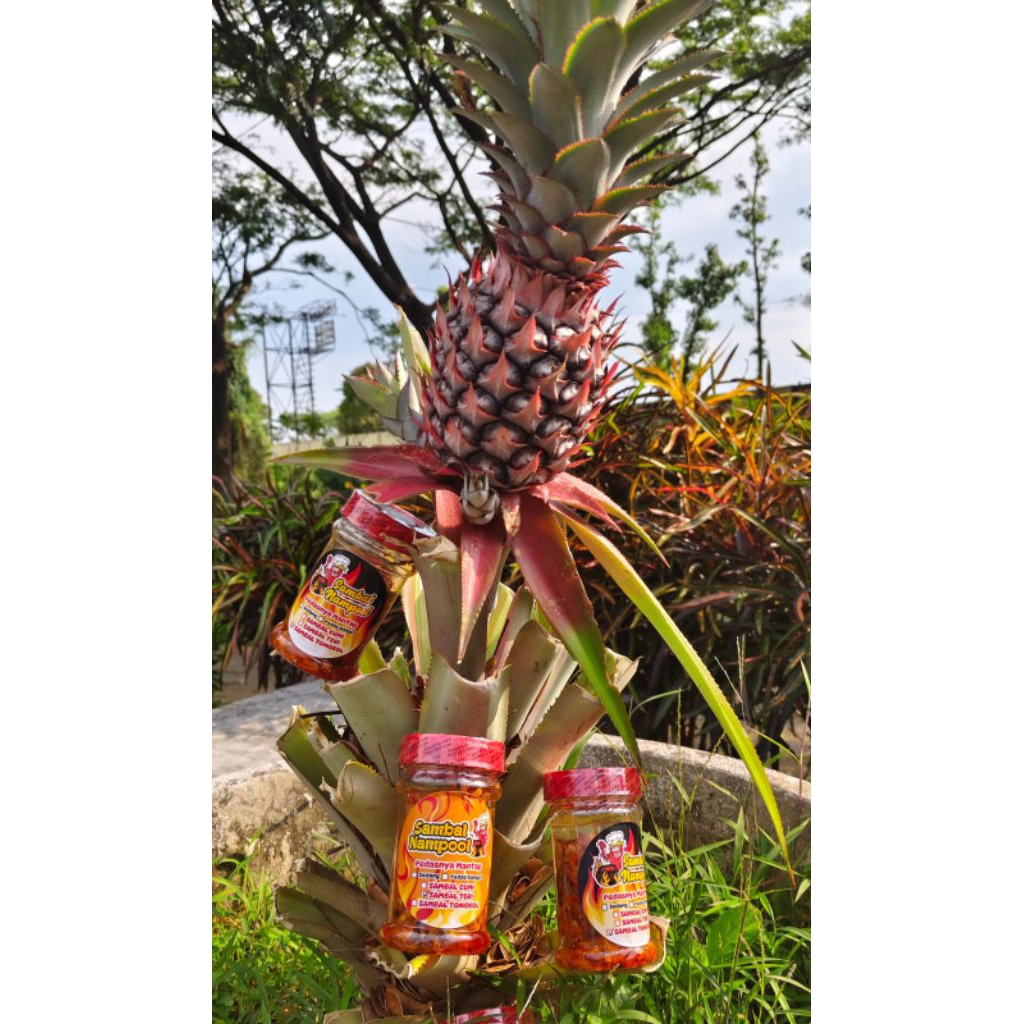 

SAMBAL CAKALANG *130GR* 100% HALAL,ORIGINAL,PREMIUM