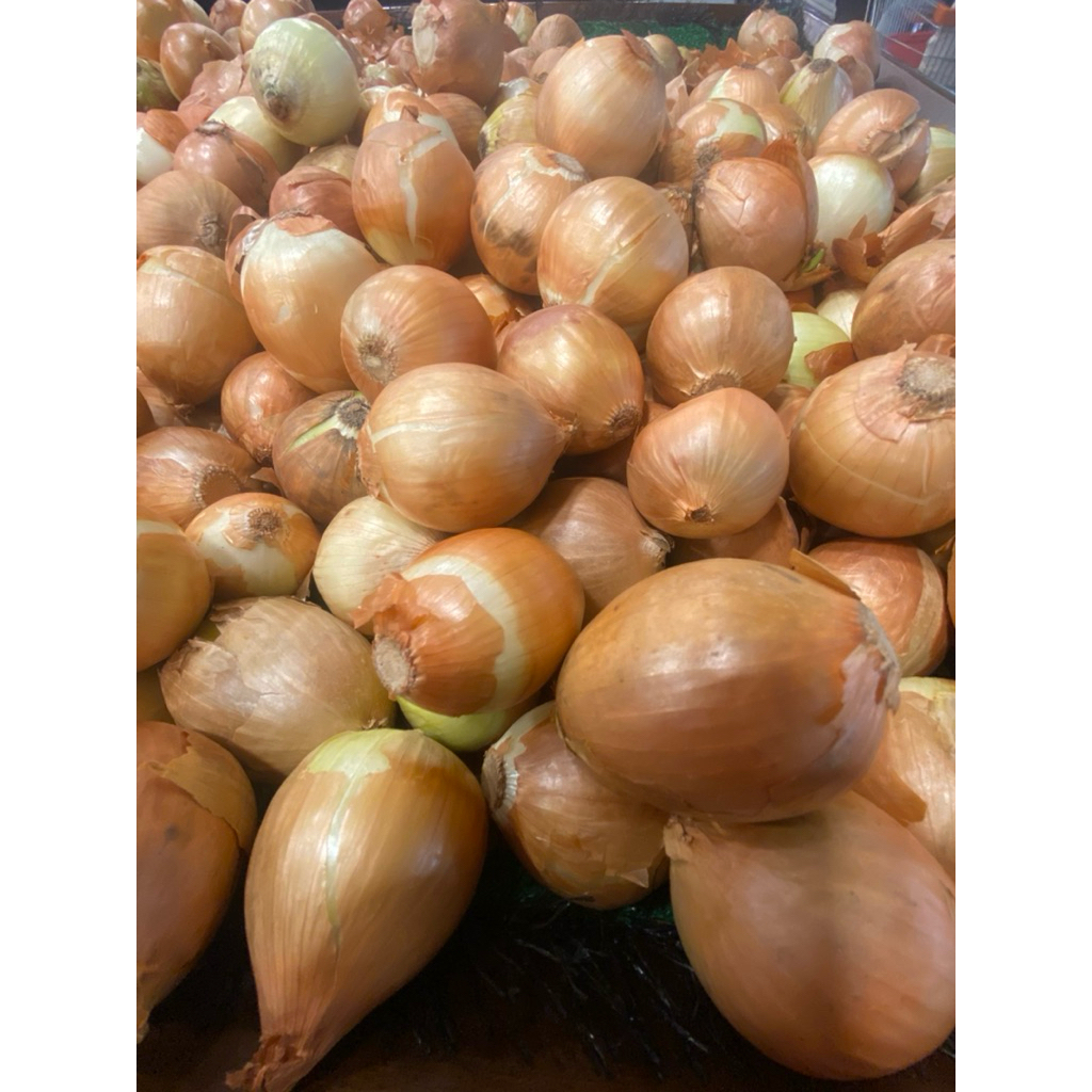 

Bawang Bombay 1 KG | Ukuran Campur Premium | Hania