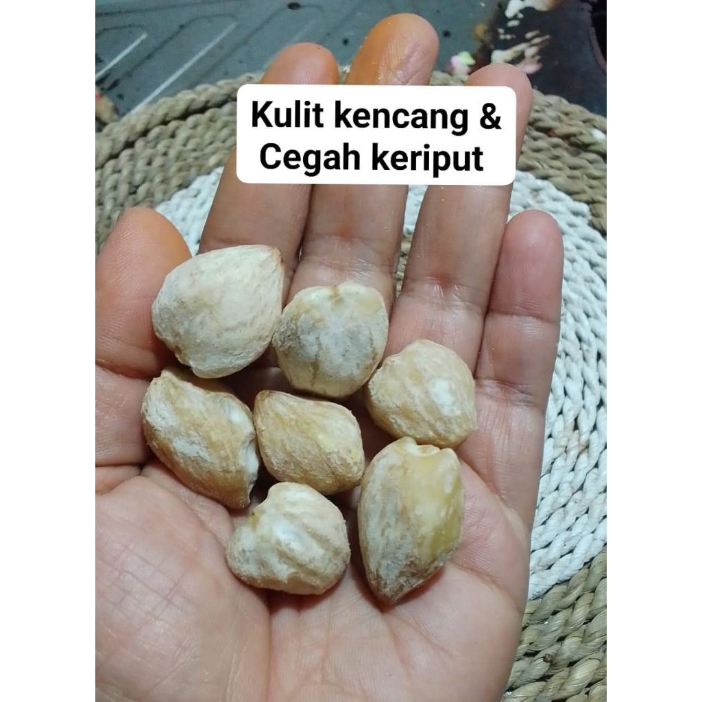 

Kemiri Bulat Bersih 1kg COD Murah