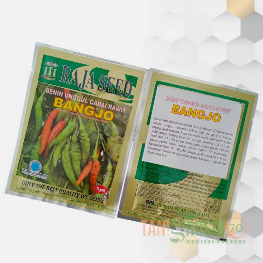 BENIH CABE/CABAI BANGJO  @ 10 gr - Cabe Rawit Besar Merah Hijau Buah Lebat Anti Hama dan Virus