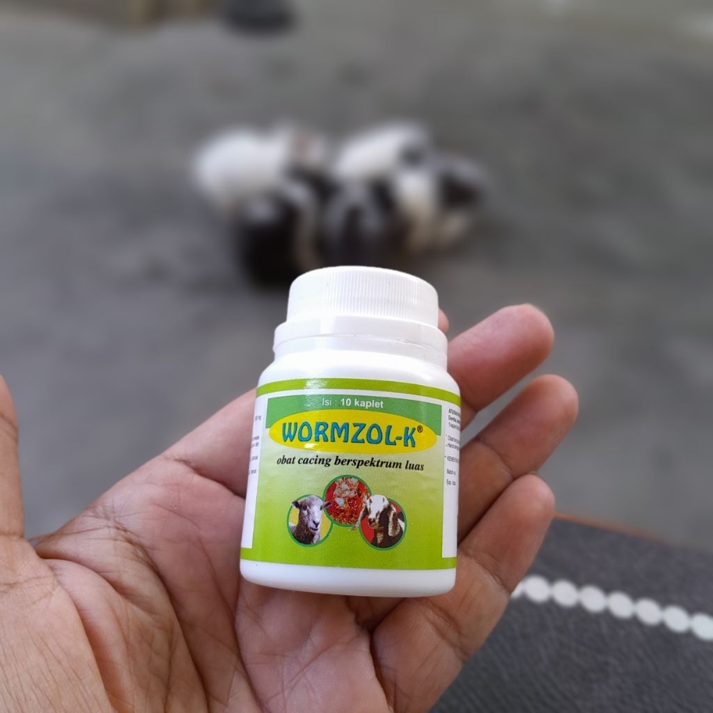 Wormzole-K Medion Kaplet Obat Cacing Kambing Domba Ampuh.Obat Cacing Kambing & Domba Wormzole-K Medi