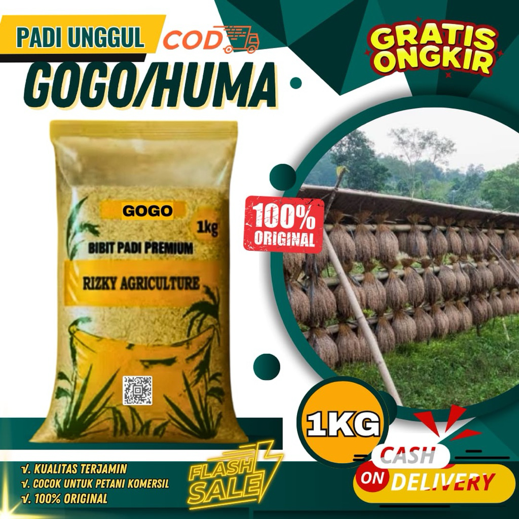 BENIH PADI BIBIT PADI GOGO/HUMA BIBIT UNGGUL KEMASAN 1Kg