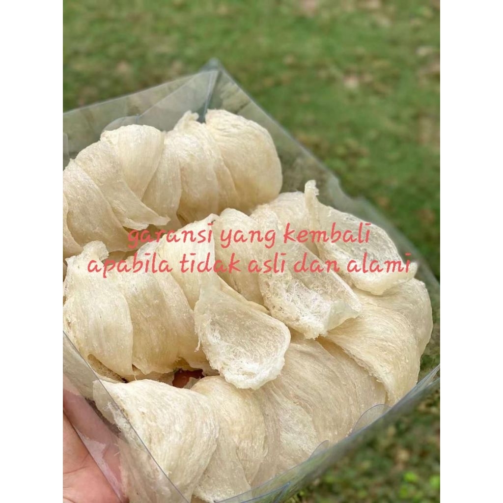 

Sarang Burung Walet Bersih Mangkok Krem Natural 100 Gram