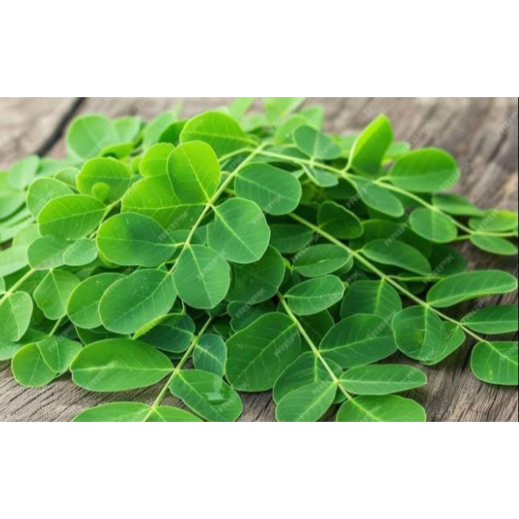 

Daun kelor segar per1 iket