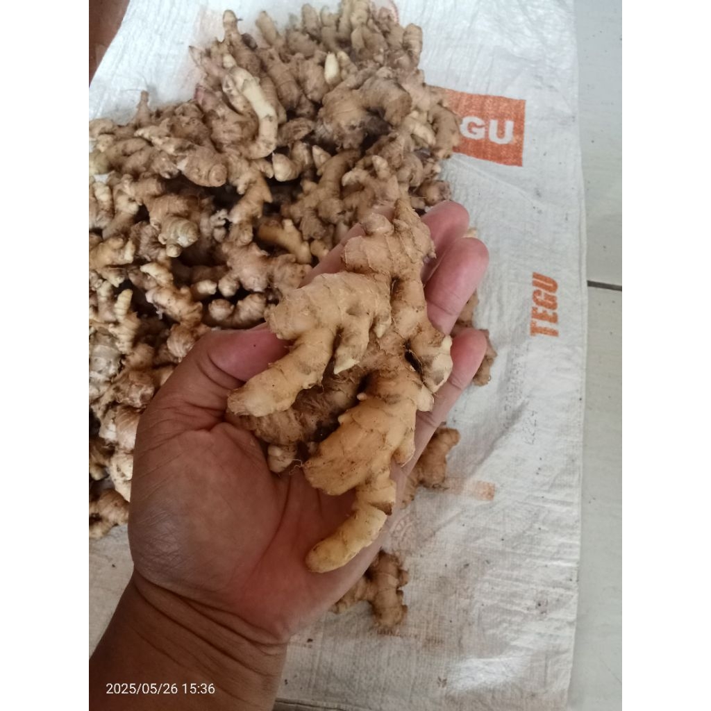 

Jahe Paris 500gram & 1kg