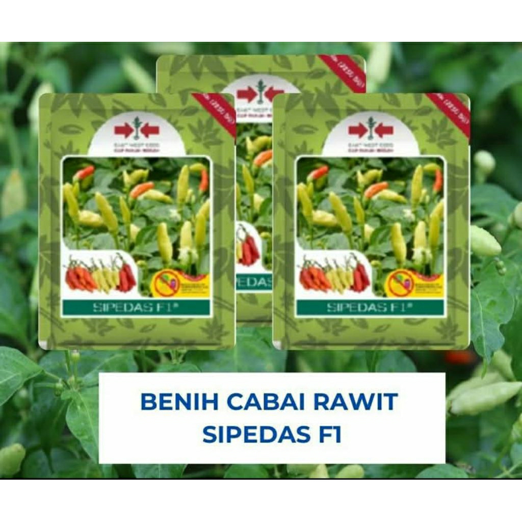 Benih Cabe Rawit " Sipedas F1 " Cap Panah Merah/125 Butir
