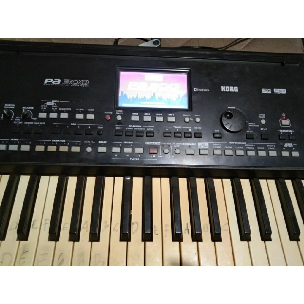 korg pa300