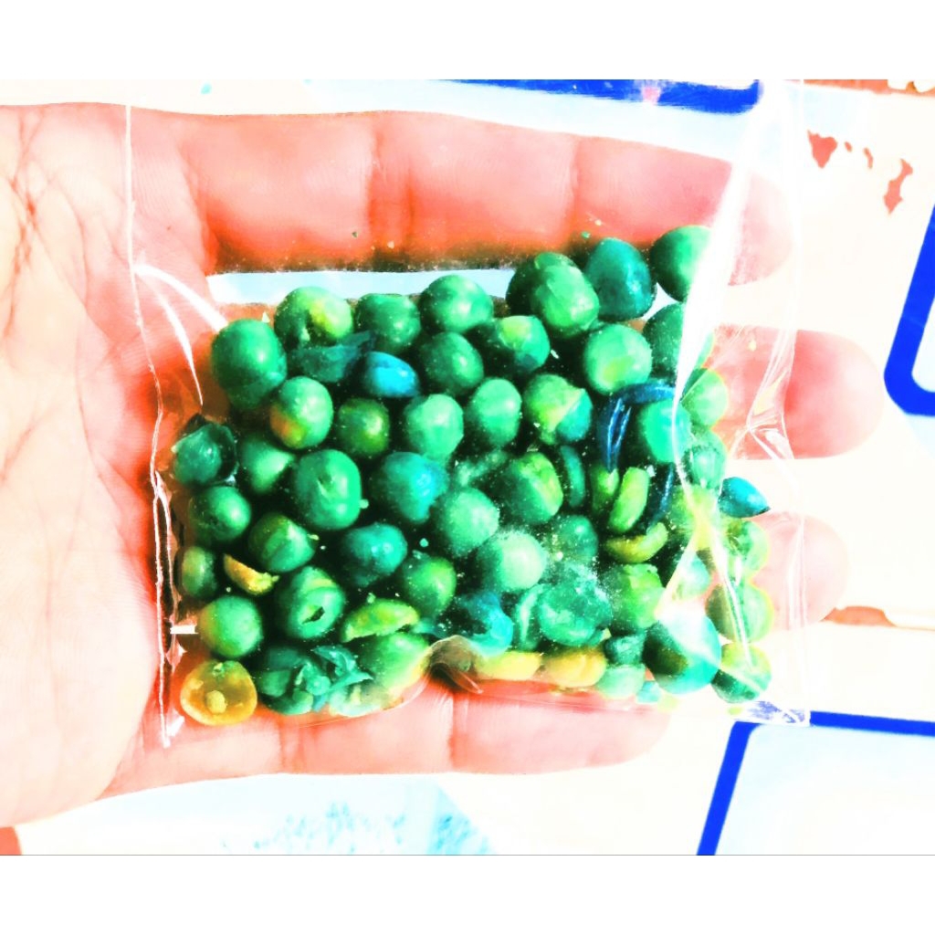 

Kacang Polong (20gram)