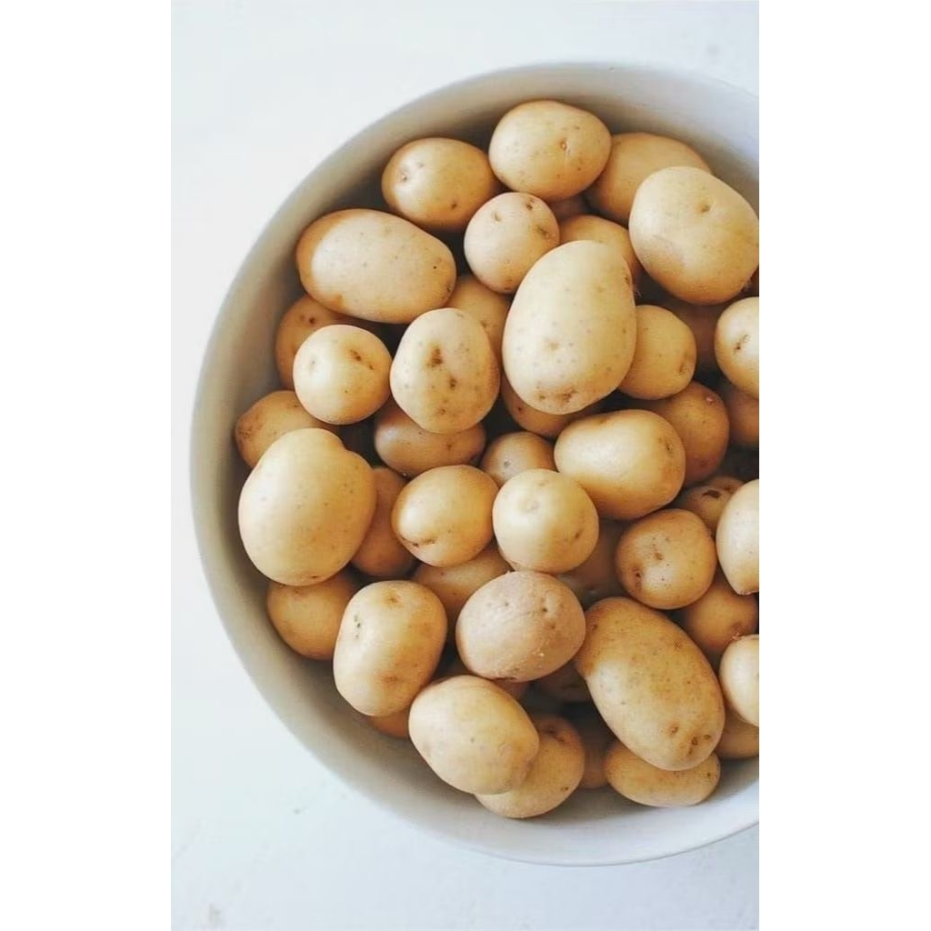 

Kentang Isi 1kg paket buah / sayuran kentang