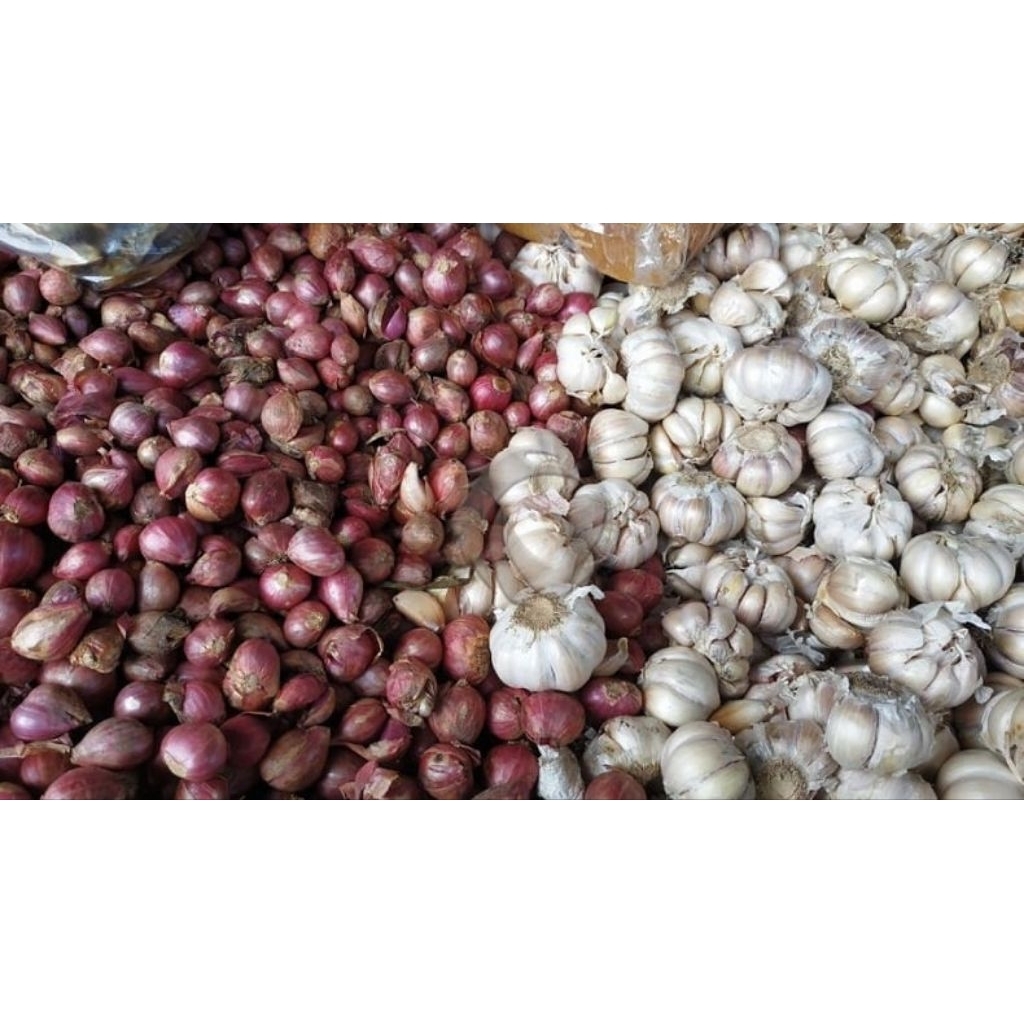 

bawang merah 500g dan bawang putih 500g kering awet untuk disimpan