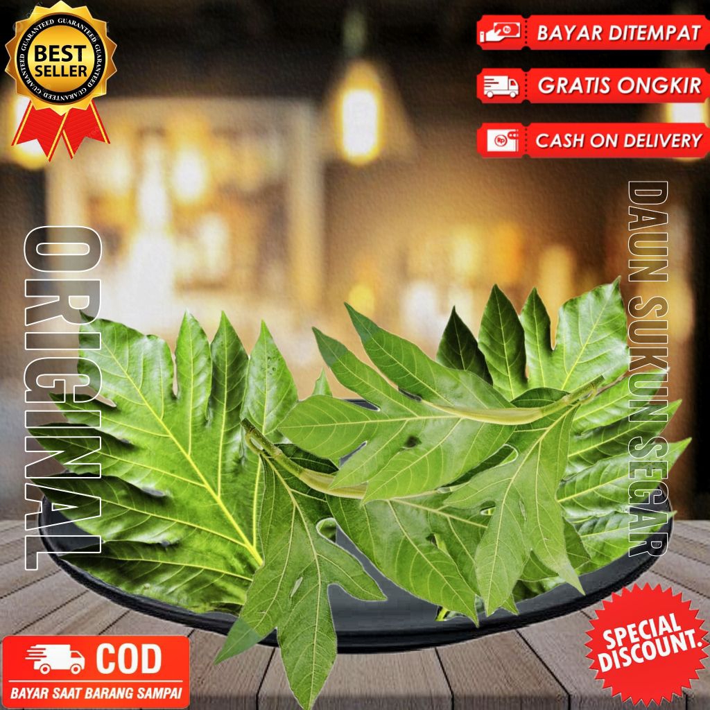 

Daun sukun 1kg segar fresh dipetik dadakan saat dipesan