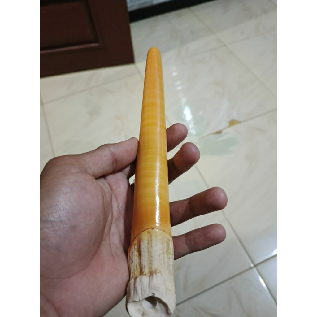 ONCE SRI GADING, PIPA SRIGADING KUALITAS PREMIUM PANJANG 15CM