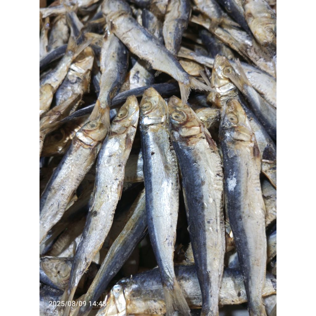 

Ikan Asin Japuh Lesi atau Anak Japuh ( mentah ) siap di masak. 250gr, 500gr dan 1kg.