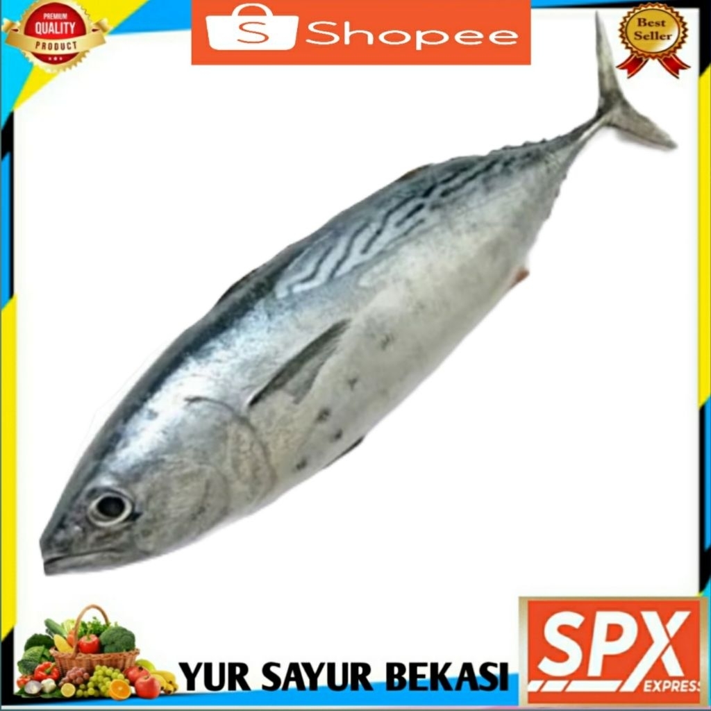 

Ikan Tuna Segar 500gr.