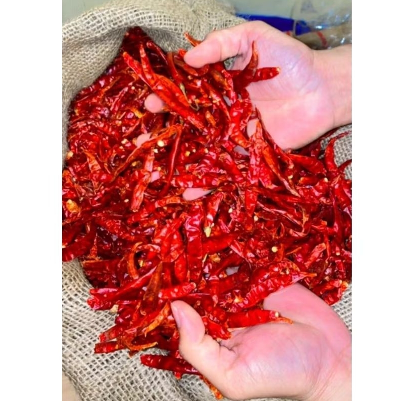 

TERMURAH CABE KERING TEJA / CABE TEJA INDIA GRADE A / CABE RAWIT JAPLAK SUPER PEDAS / 1kg / 500g / 250g