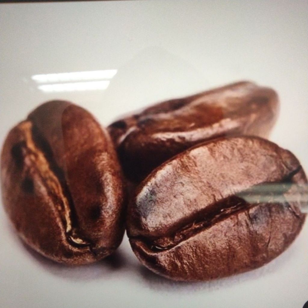 

KOPIHIRA Robusta