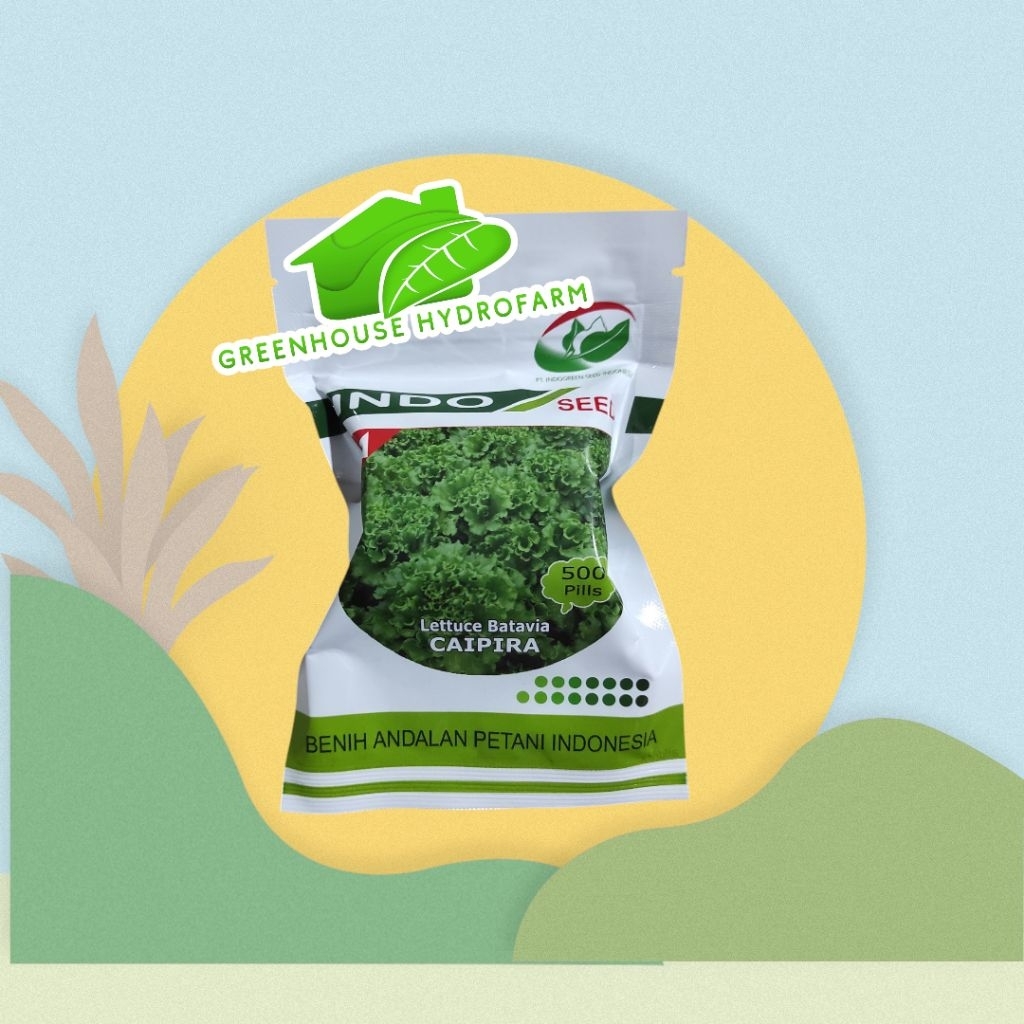 Benih Selada Caipira Kemasan 500 pills