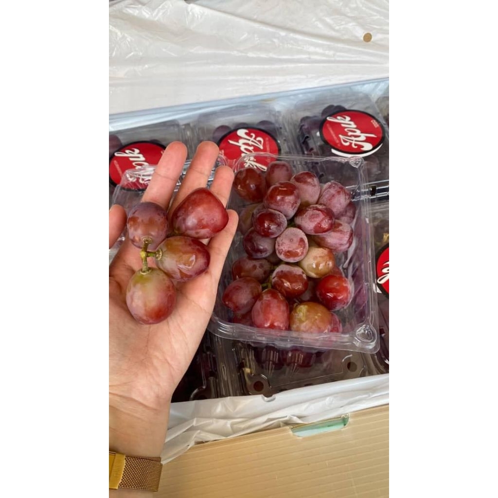 

Anggur red candy/pack
