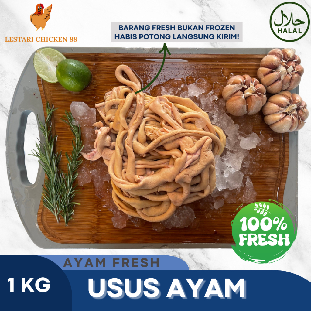 

Usus Ayam Fresh 1 kg / Usus Ayam Rebus 1 kg