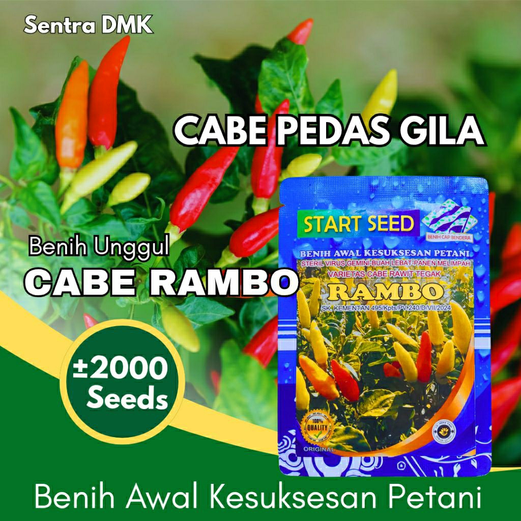 Benih Unggul Benih Cabe Rawit Unggul RAMBO Original Cod Promo Bibit Cabe Rawit Unggul  Tahan virus A