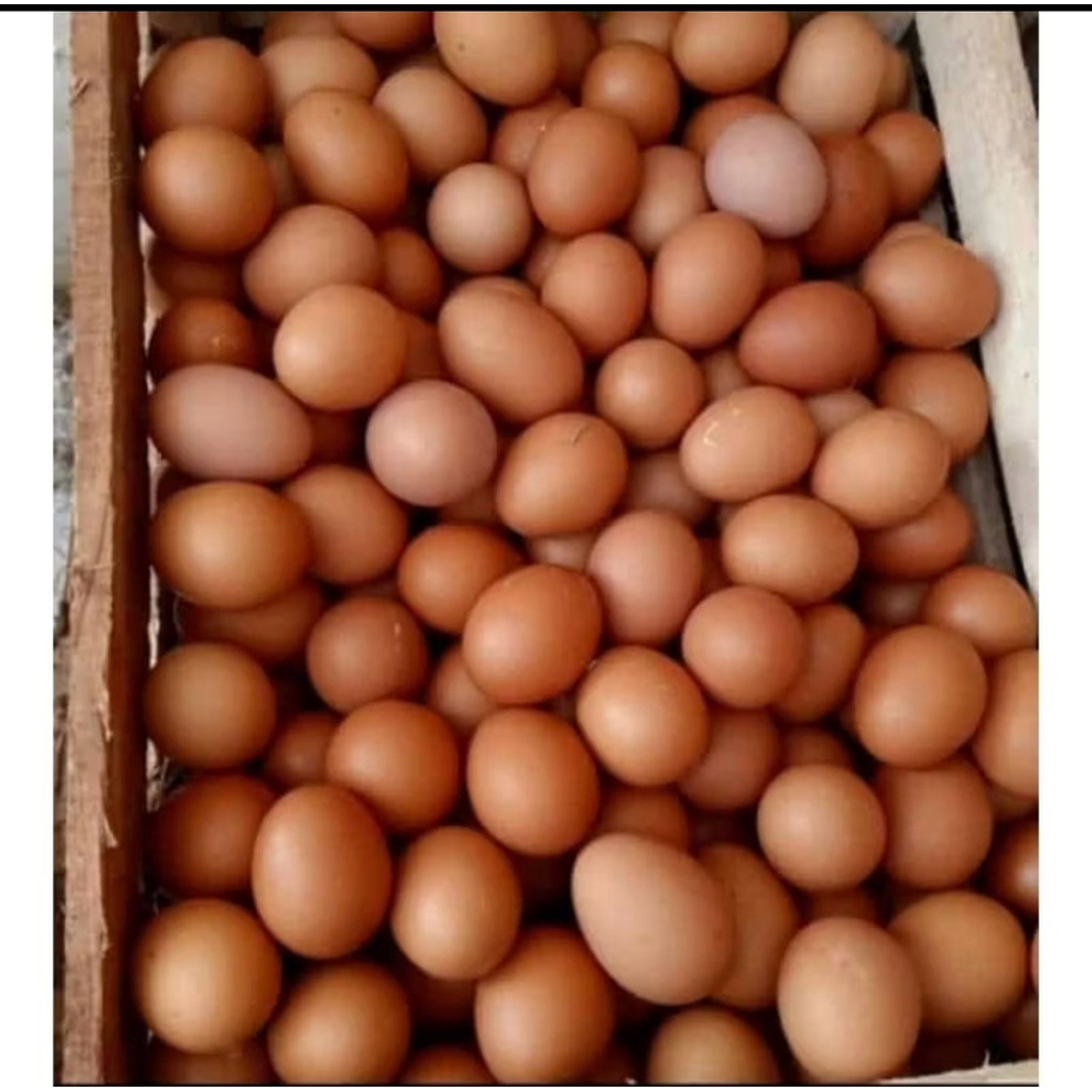 

telor ayam negeri 1kg
