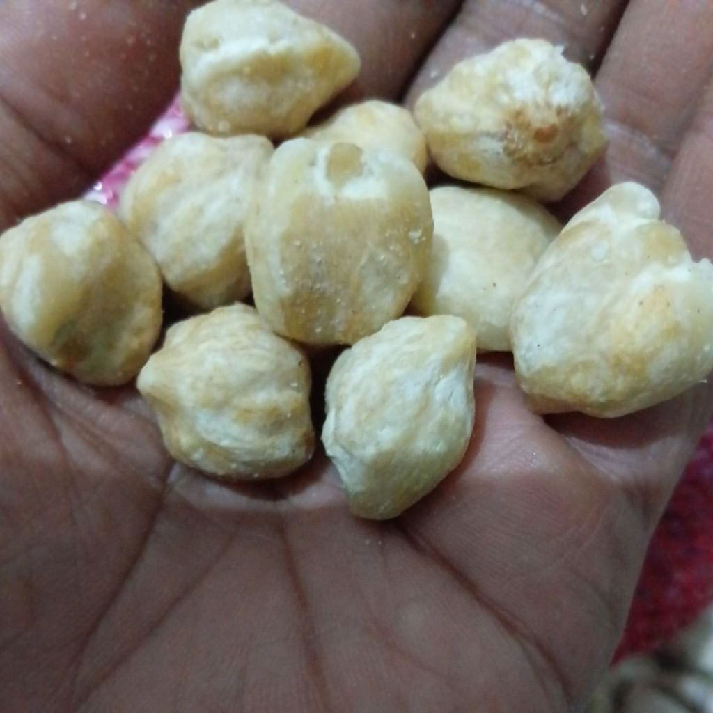 

kemiri bulat dan pecah 10.000