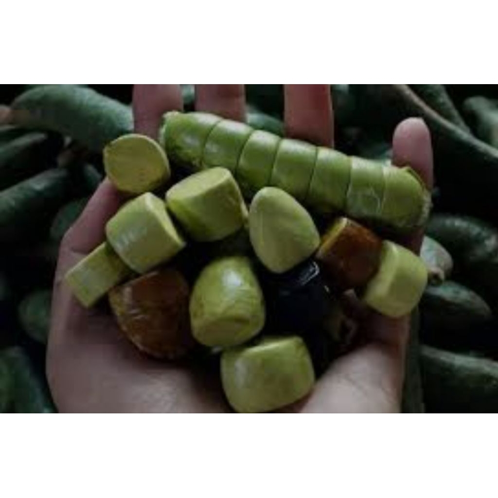 

co Kabau hemat jaling butiran/bijian