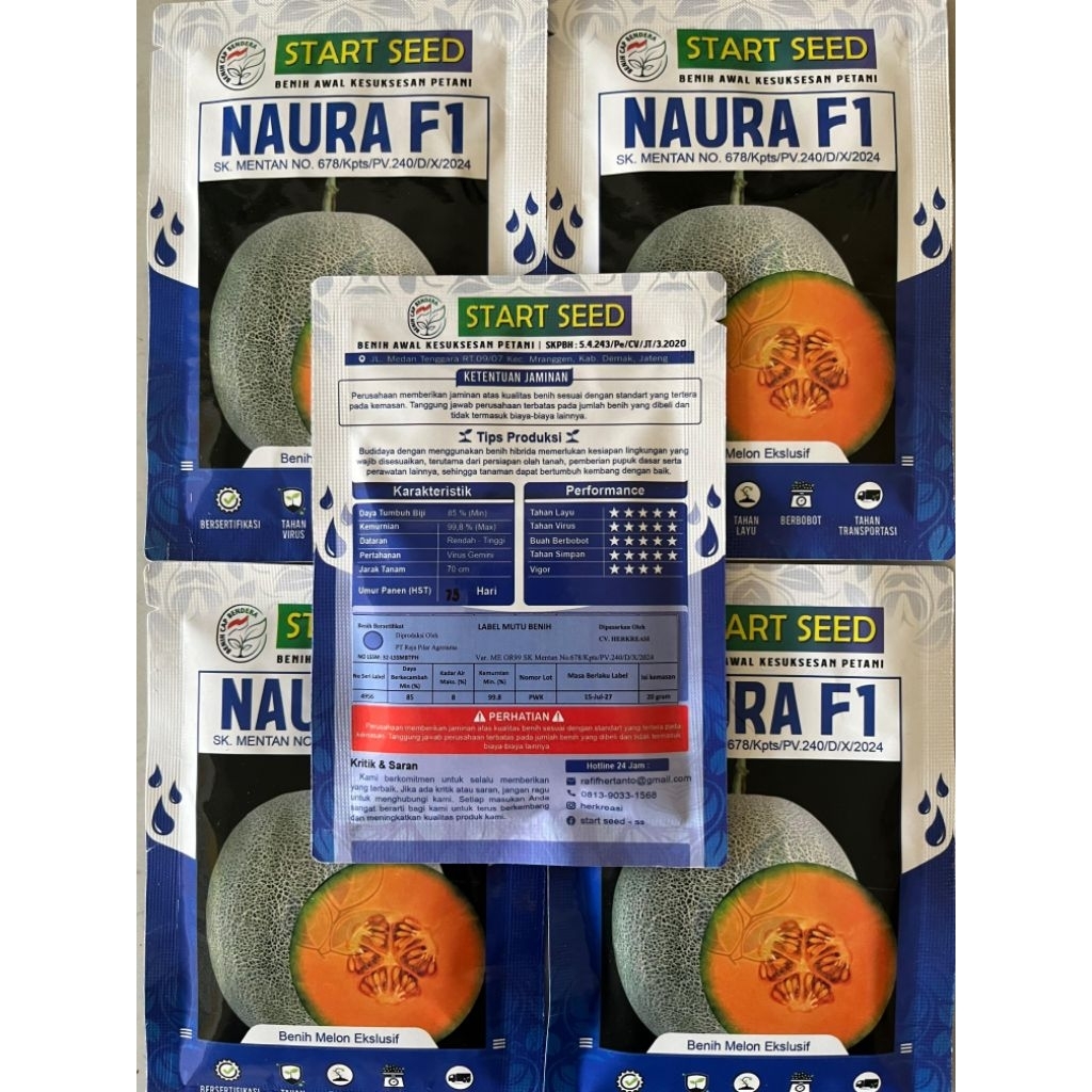 

Benih Melon orange NAURA F1 ISI 20gram dari Star Seed