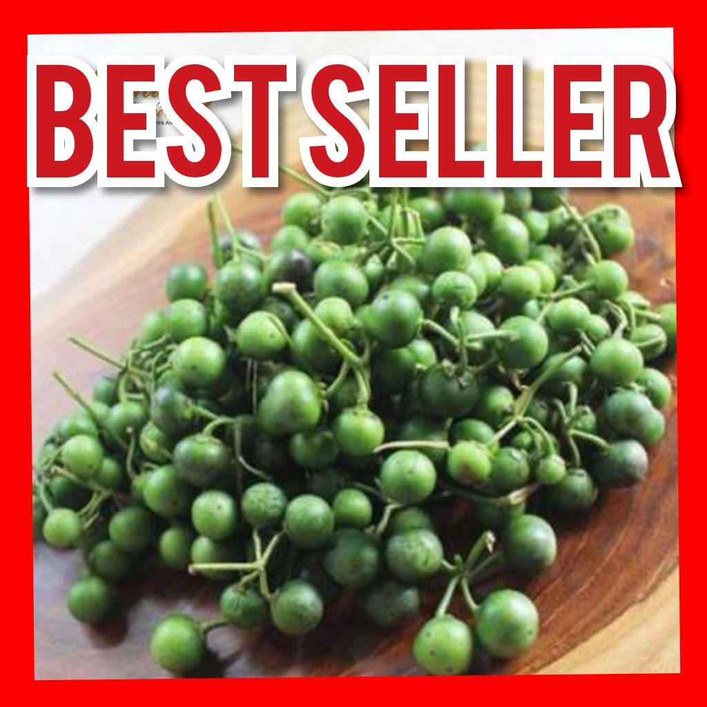 

Lencah Sayur 250gr sayur leunca fresh asli ciwidey dijamin segar