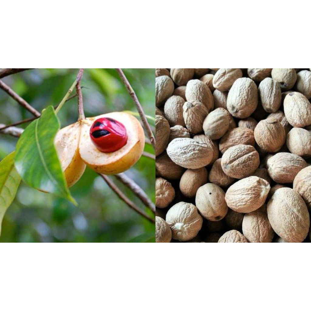 

Buah Pala | Bumbu Masakan | Rempah-Rempah | 250gr