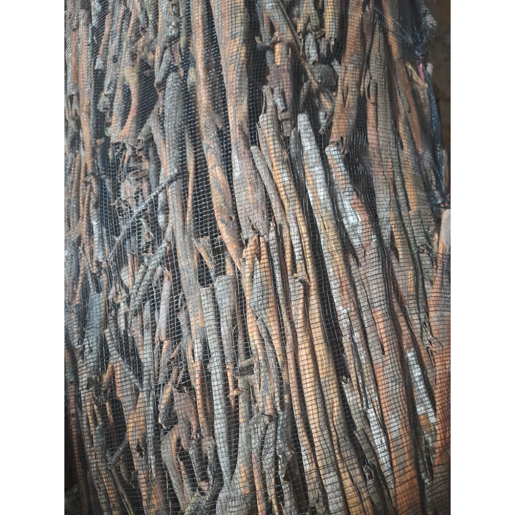 

kulit kayu manis asli kerinci