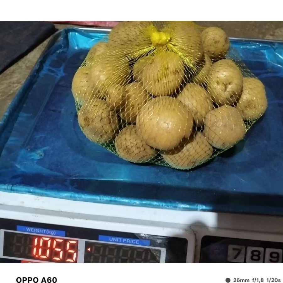 

Kentang DN Super Segar - Kualitas Premium 1kg - Asli Dataran Tinggi Jawa Barat - Gurih & Tahan Lama - Pengiriman Cepat H+1 - Terlaris