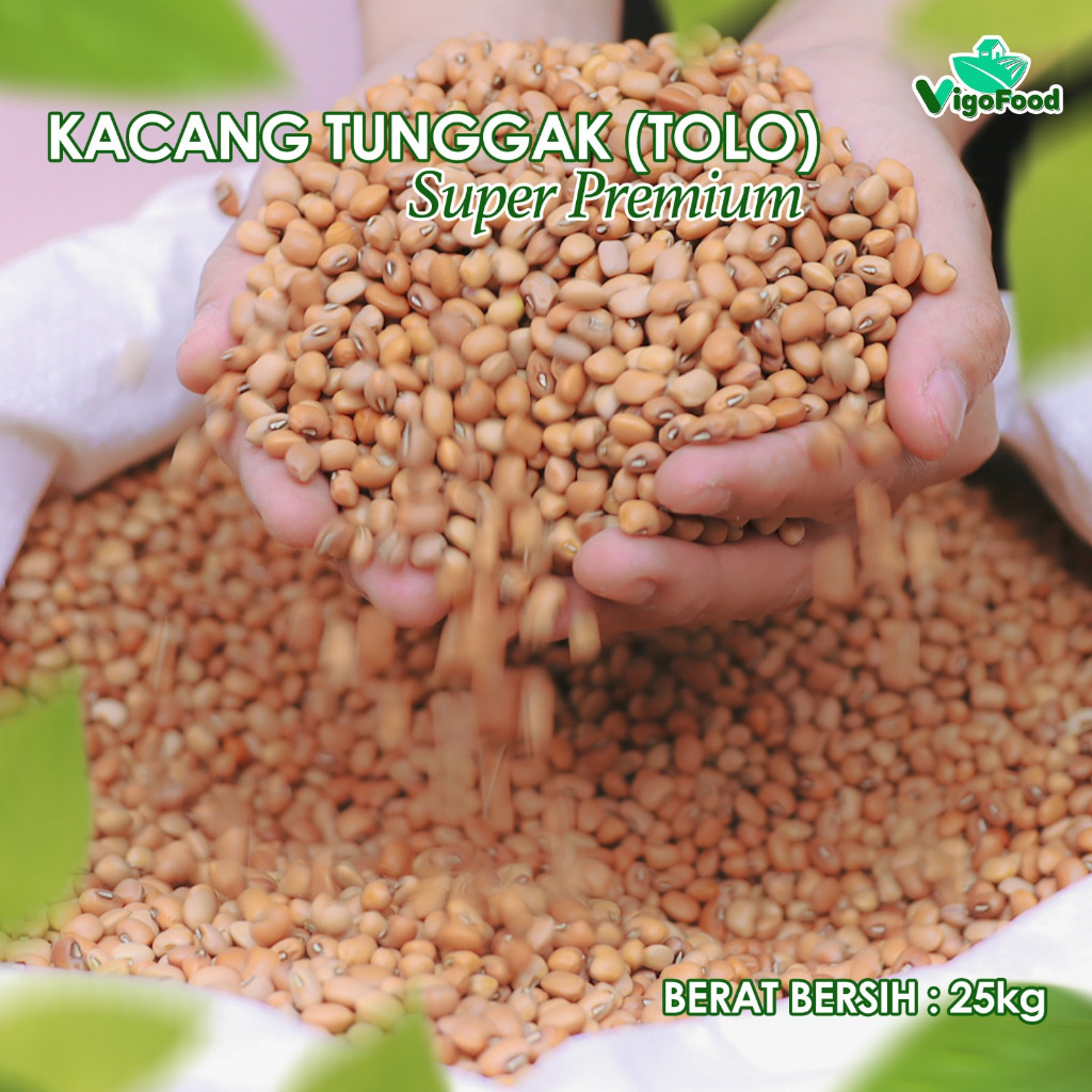 

KACANG TUNGGAK(TOLO) GRADE IMPORT KUALITAS IMPORT BY VIGOFOOD KEMASAN 1 SAK KARUNG 25 KG
