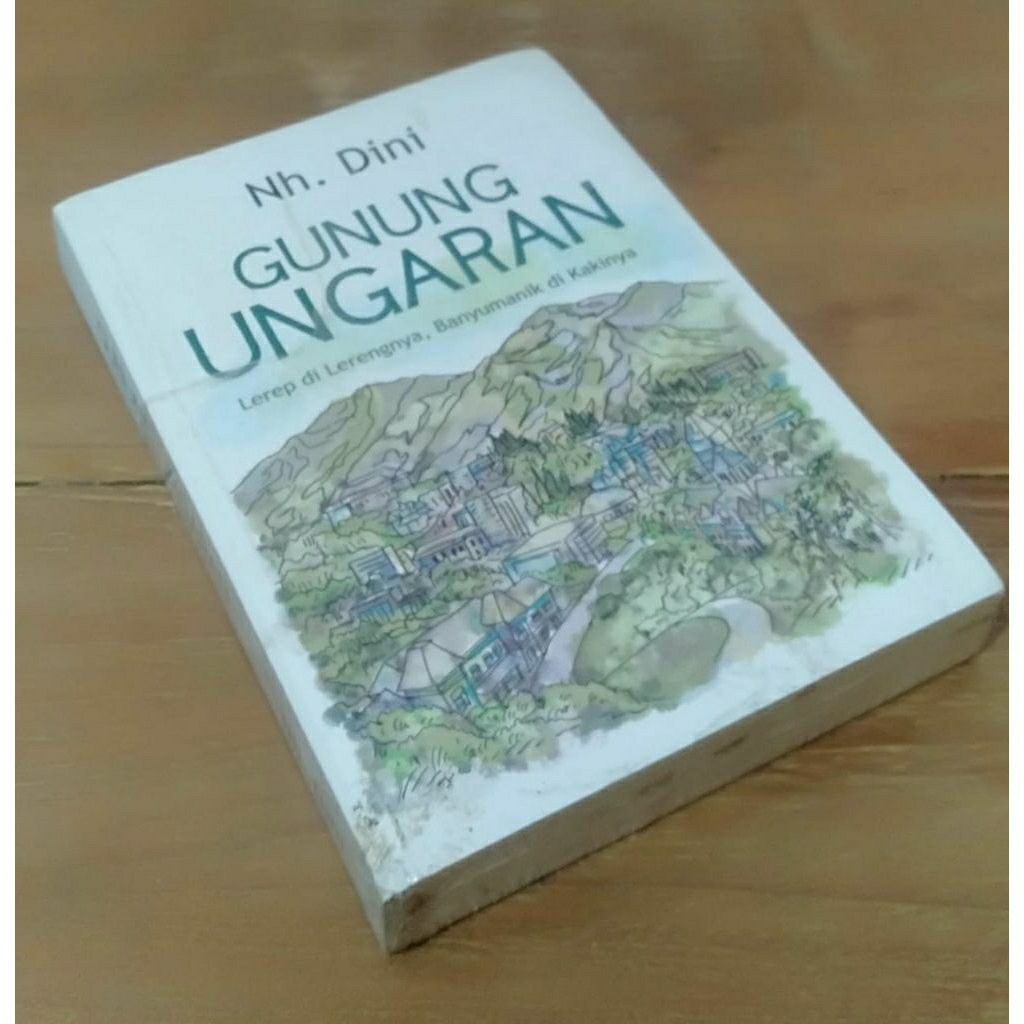 gunung Ungaran nh dini