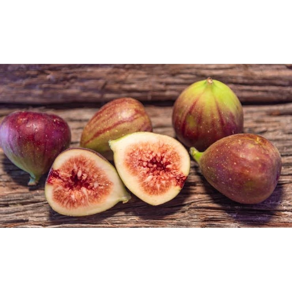 

Buah Tin ara yordania fresh 500 gr