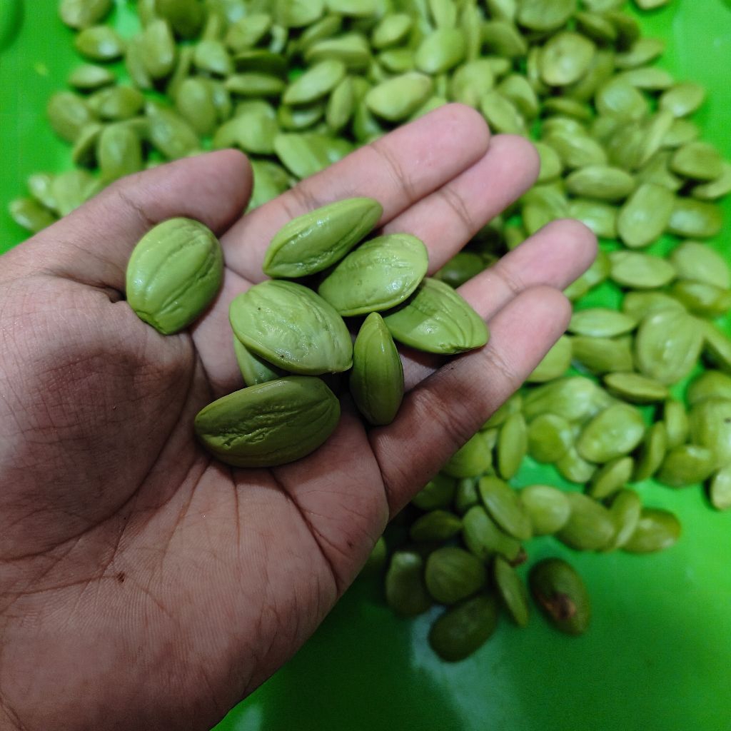 

Pete kupas 500 gram segar dan nikmat