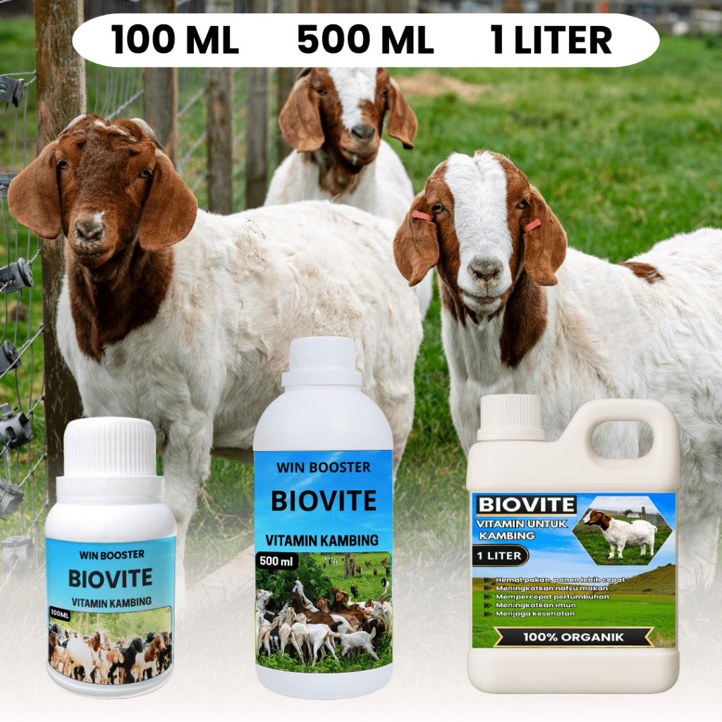vitamin kambing-suplement kambing probiotik, vitamin khusus ternak kambing