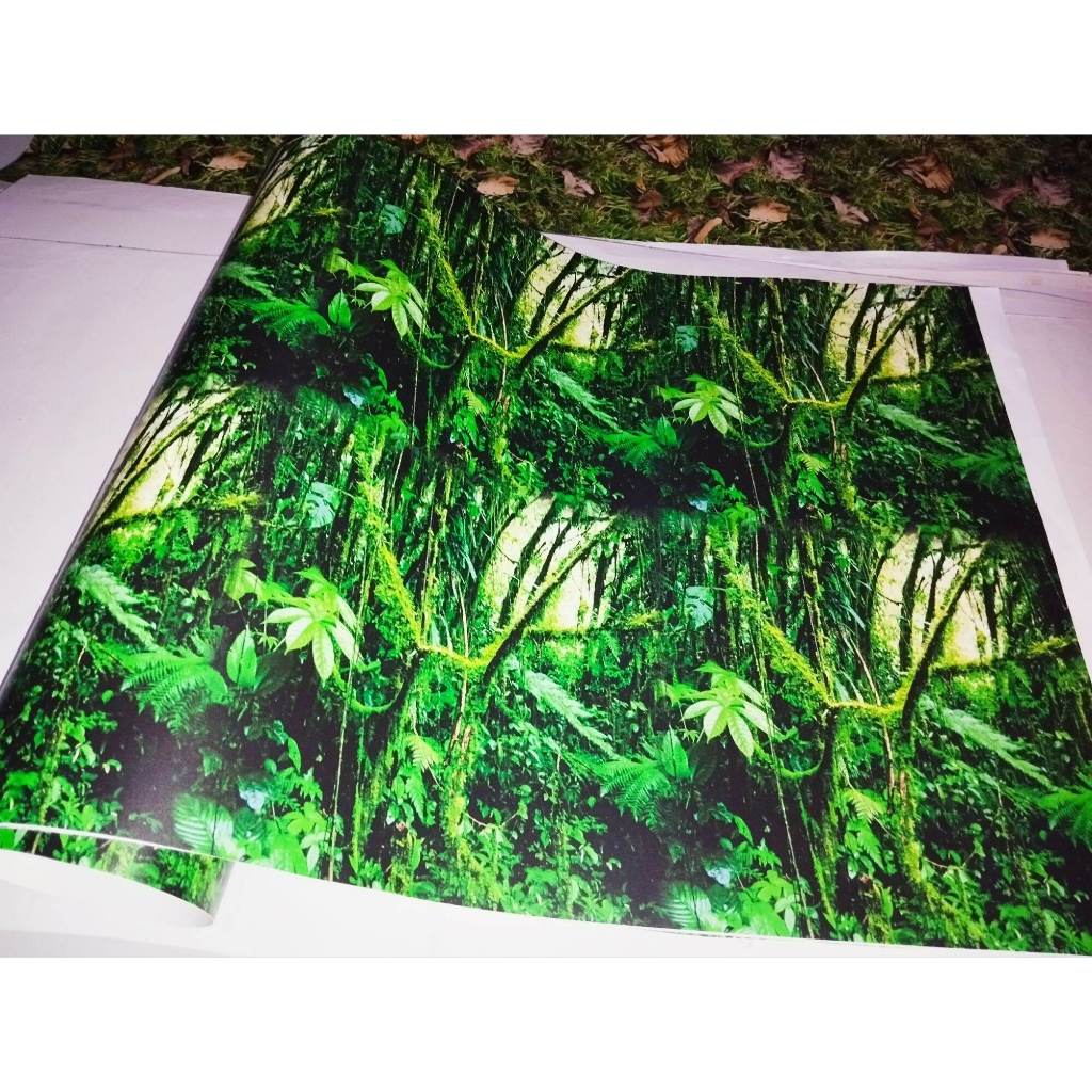 

Stiker Camo Motif Natural F3 50x50cm