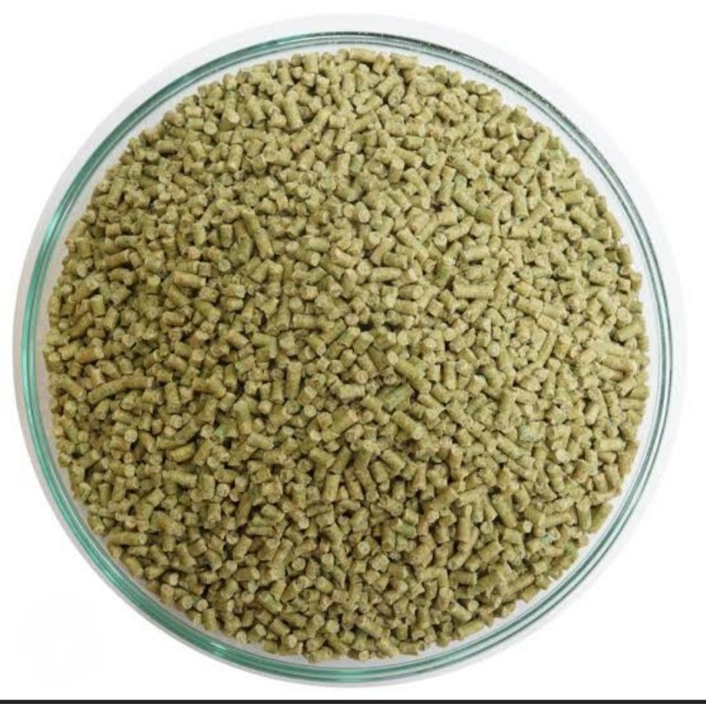 PUR HIJAU PAKAN BURUNG TRUCUK JALAK KUTILANG