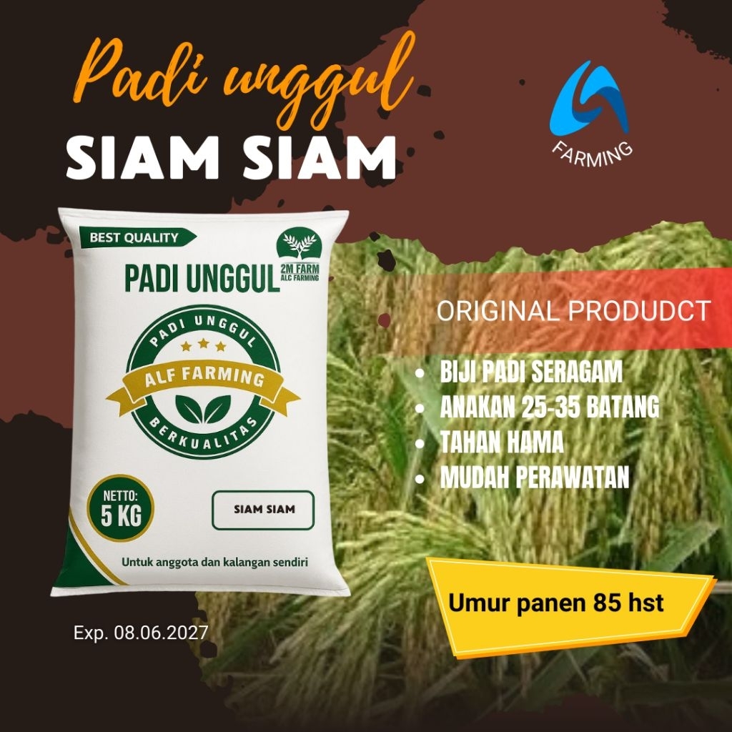 Padi Unggul Siam Siam Kemasan 5 Kg