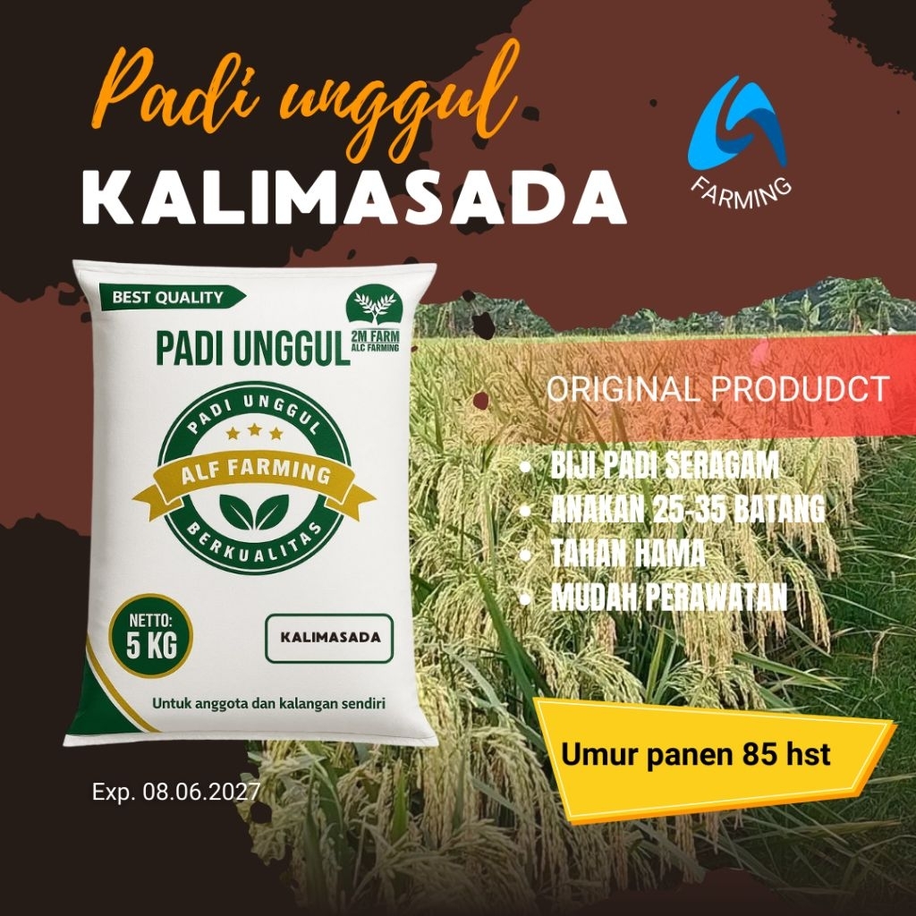 Padi Unggul KALIMASADA kemasan 5 kg