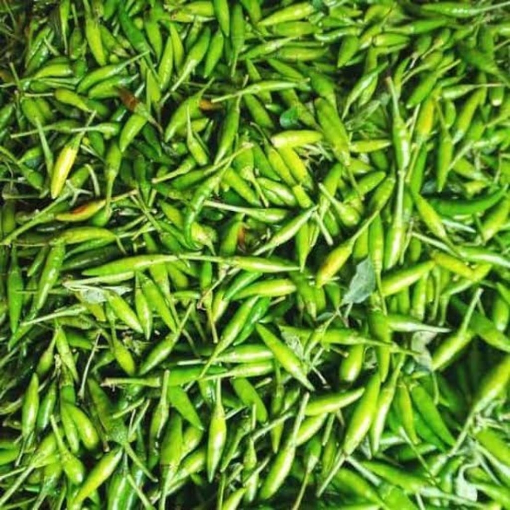 

cabe rawit hijau caplak gorengan 250 gr 500 gr 1 kg fresh termurah