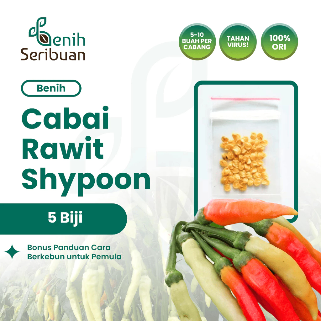 Benih Seribuan - 5 Bibit Cabe Rawit Shypoon Hibrida / Bibit Cabe Shypoon