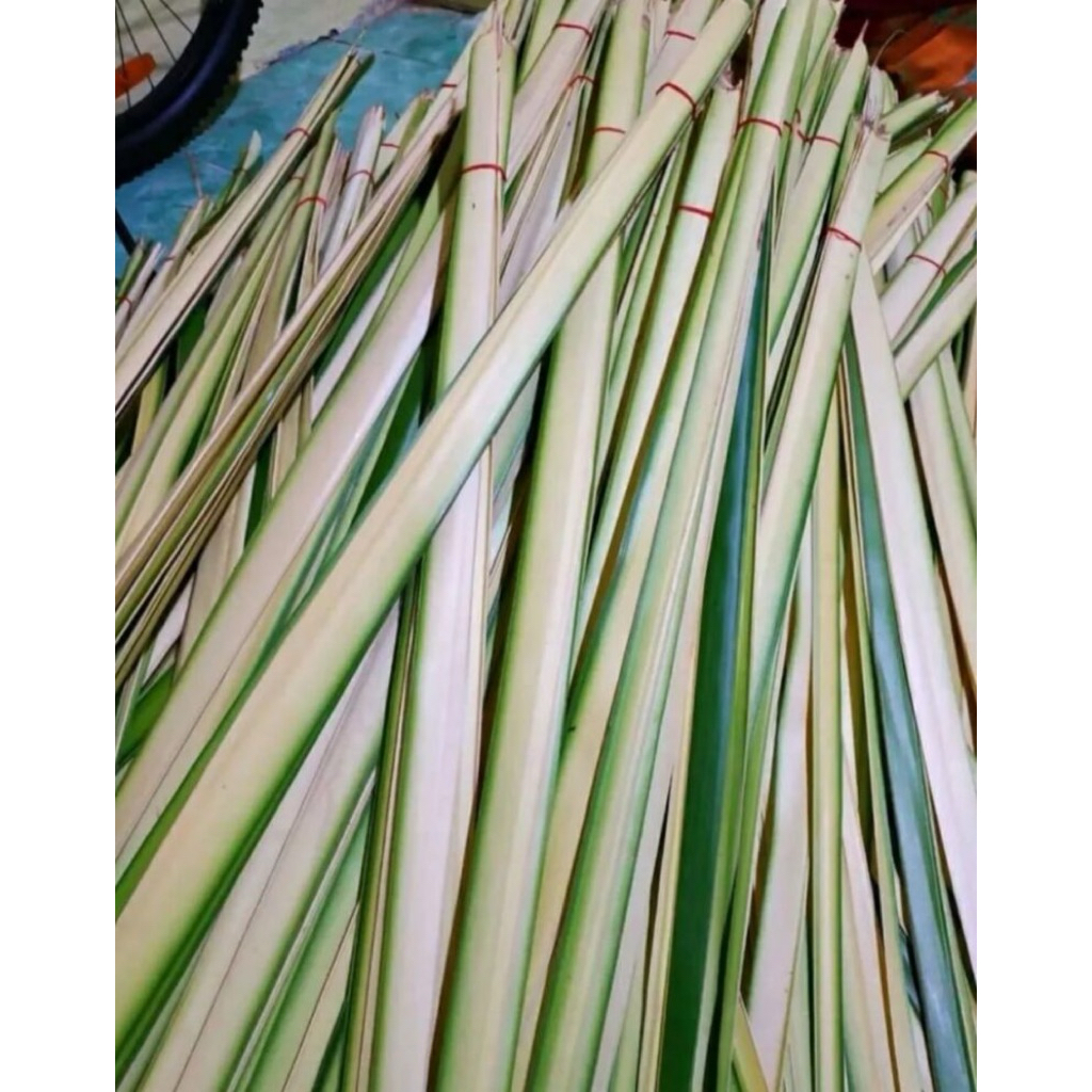 

Daun Kelapa Muda | Janur Kuning | Bungkus Ketupat | per helai