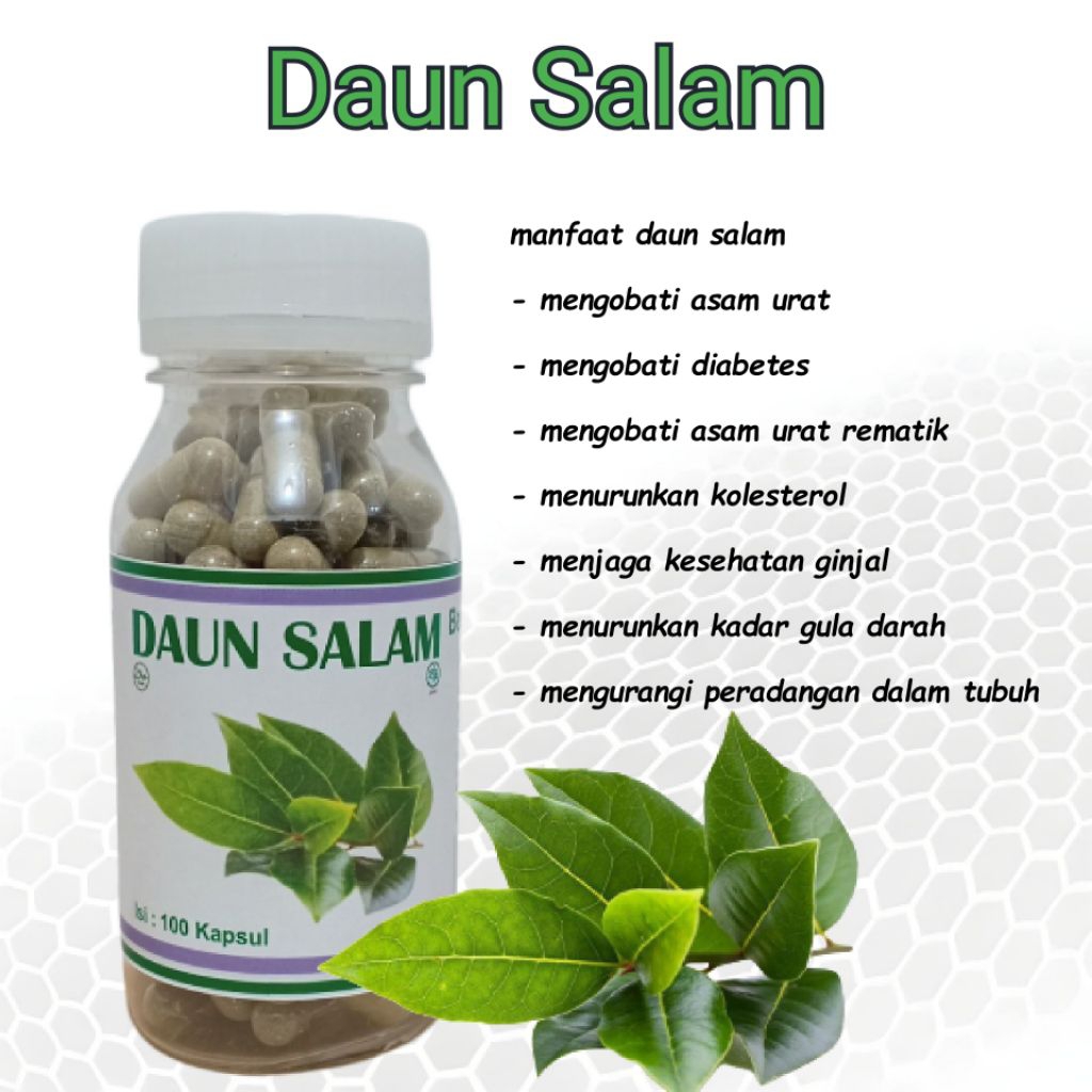 Daun Salam kapsul isi 100